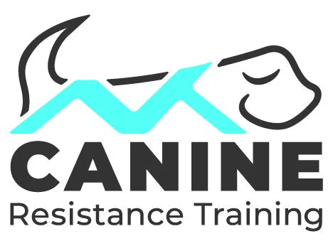 What is Canine Resistance Training?