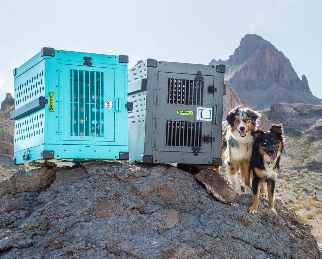 Crates and Kennels