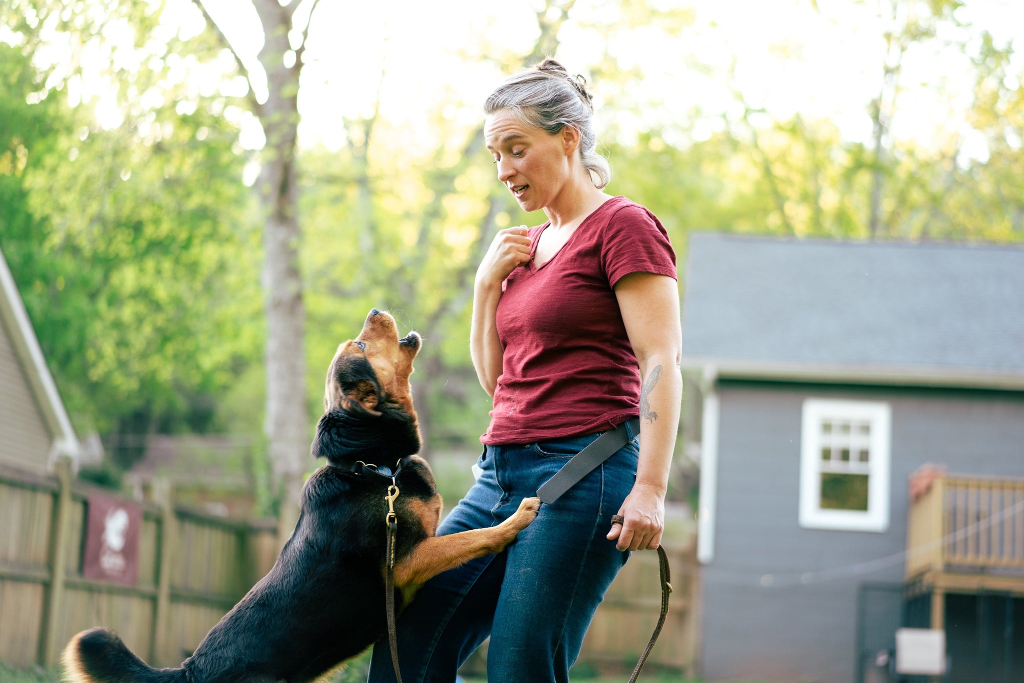 Re-Wiring Your Dog's Brain by Triggering a Reaction
