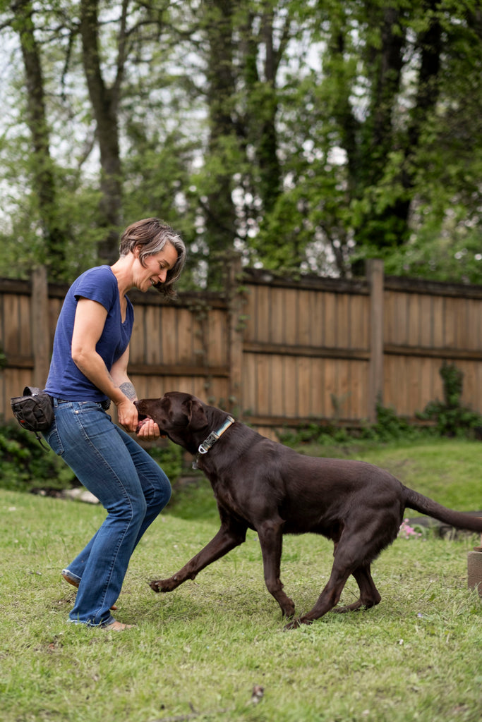 Polyvagal Exercises for Dogs:   Co-Regulating with a Canine Companion