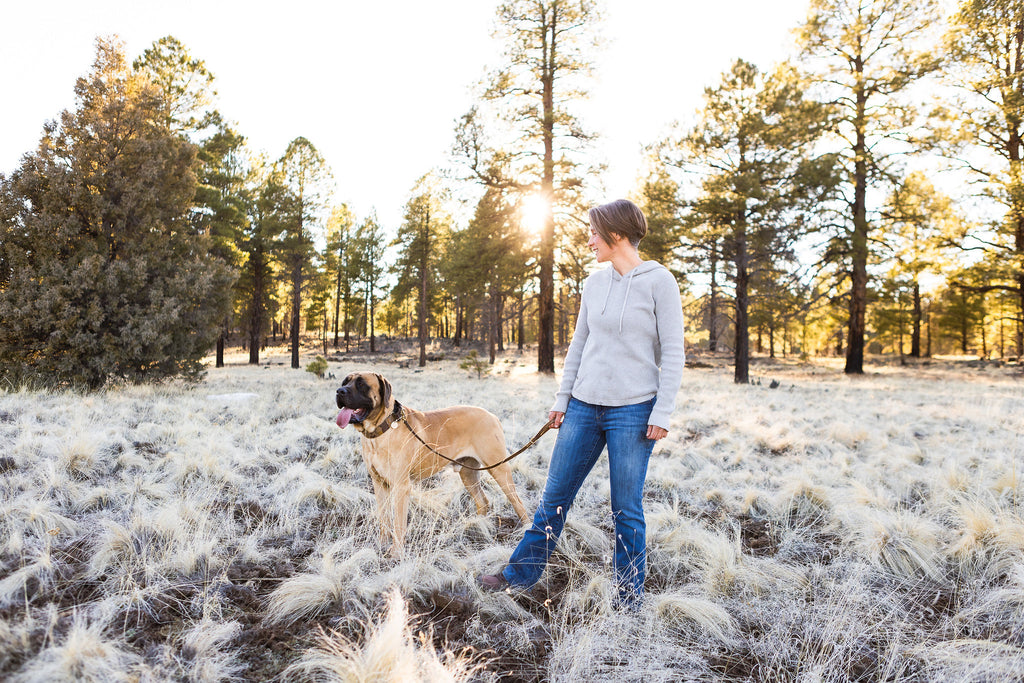 New Obedience Class Starts April 15th