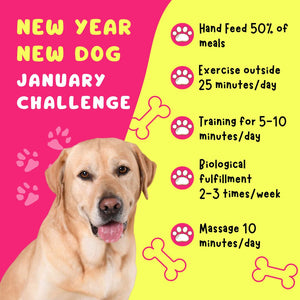 New Year, New Dog: January Challenge