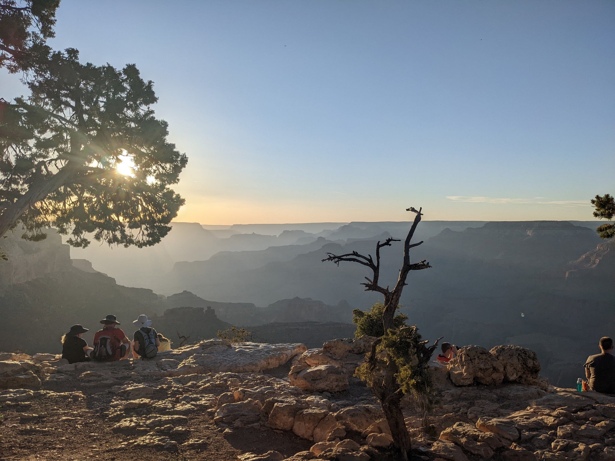 Biophilic Design for Dogs: Prospect and Refuge