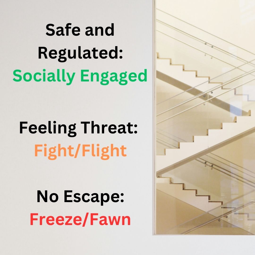 Compassion, Connection, and Understanding: The Polyvagal Ladder with Cam and Ned Barclay