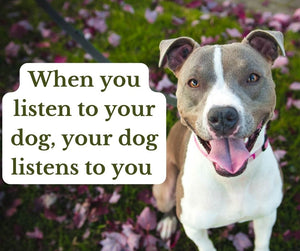 When You Listen to Your Dog, Your Dog Listens to You