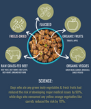 PREMIUM RAW FREEZE DRIED DOG FOOD BEEF