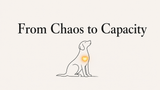 From Chaos to Capacity: Building Clarity and Connection Through Co-Regulation