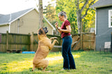 Canine Core Method: Dog Training