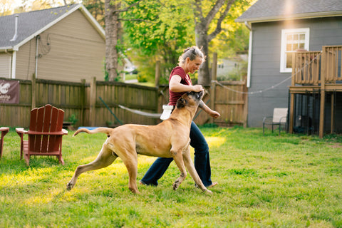 Canine Core Method: Dog Training