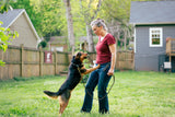 Canine Core Method: Dog Training