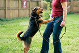 Canine Core Method: Dog Training