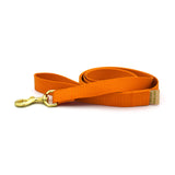 basic leash