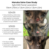 Manuka Honey Salve for Dogs, Horses & Humans
