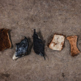 Sample of Chips, Chunks, & Scraps
