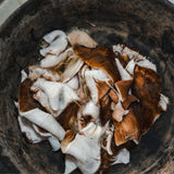 Chips, Chunks, & Scraps