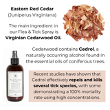 Flea & Tick Spray for Dogs