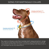 martingale collar / serape + navy