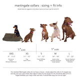 martingale collar / pink + orange