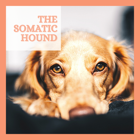 Somatic Hound: Part Two